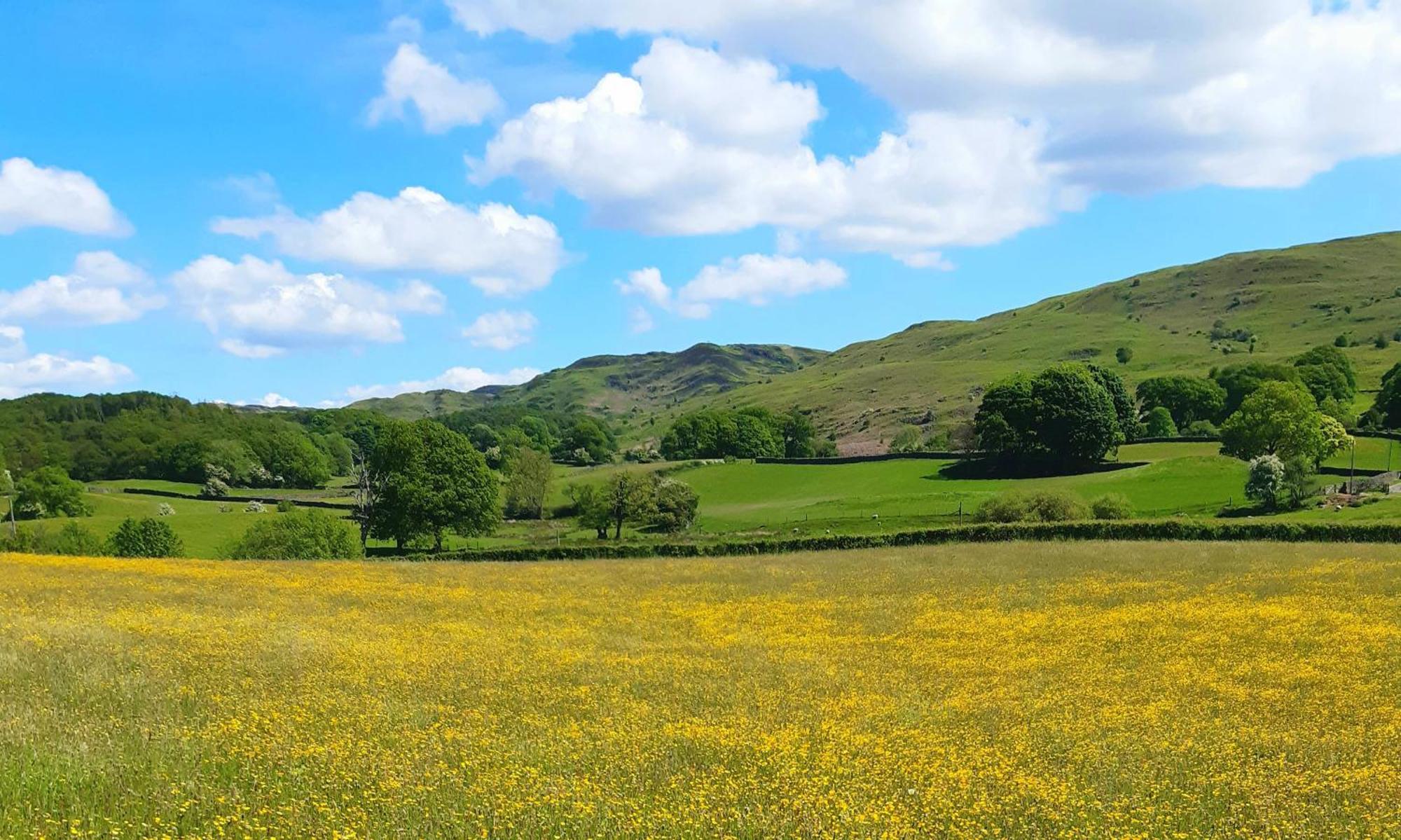 Ling Fell Cottage ألفرستون المظهر الخارجي الصورة